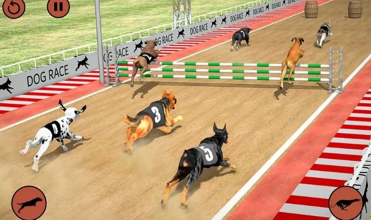 Bí Kíp Chinh Phục Game Nhanh Đua Chó VF555 Từ Cao Thủ Cá Cược 2 Đồ họa game nhanh Đua Chó VF555 thiết kế bắt mắt, sống động